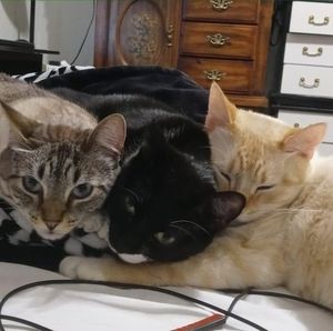 Meet your Posher, Jeffery